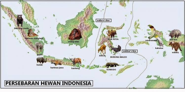 Hewan Langka di Indonesia