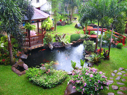 taman rumah minimalis ada kolam